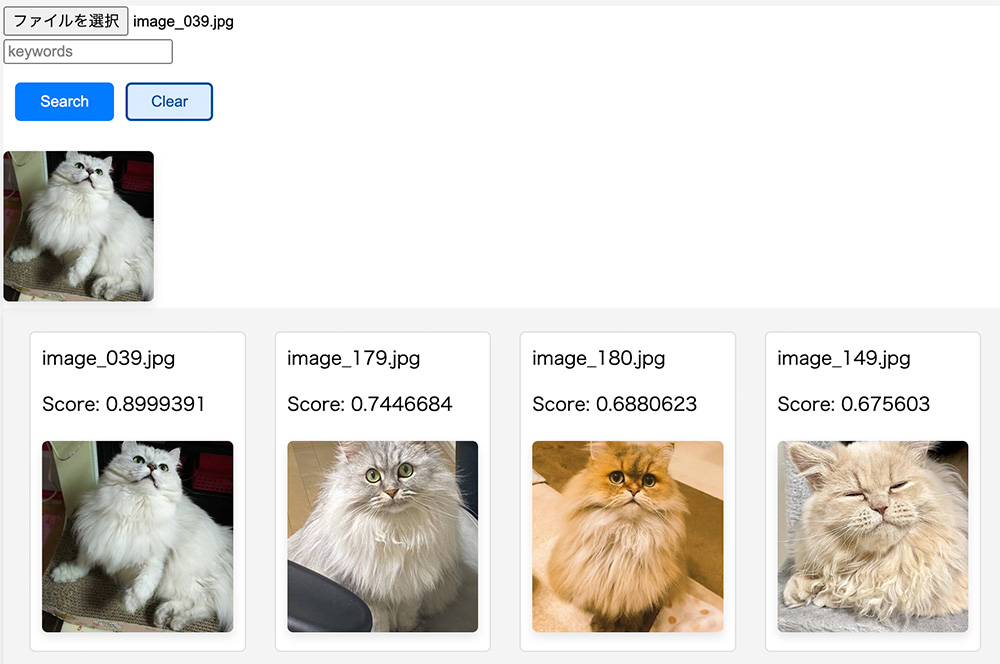 ねこいる様　確認ページ Nyantech であの猫のこんな写真を見つけたい ~ マルチモーダル